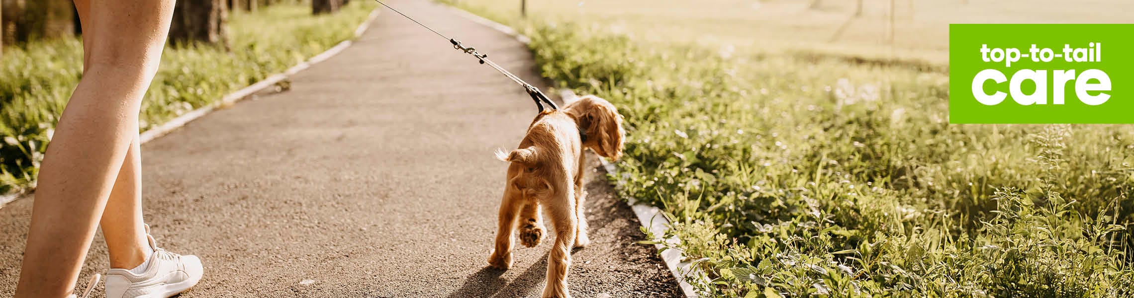 How to keep your puppy in shape