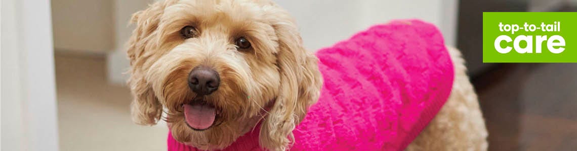 Does my dog need a winter coat?
