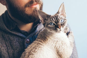 The myth of ‘hypoallergenic cats’