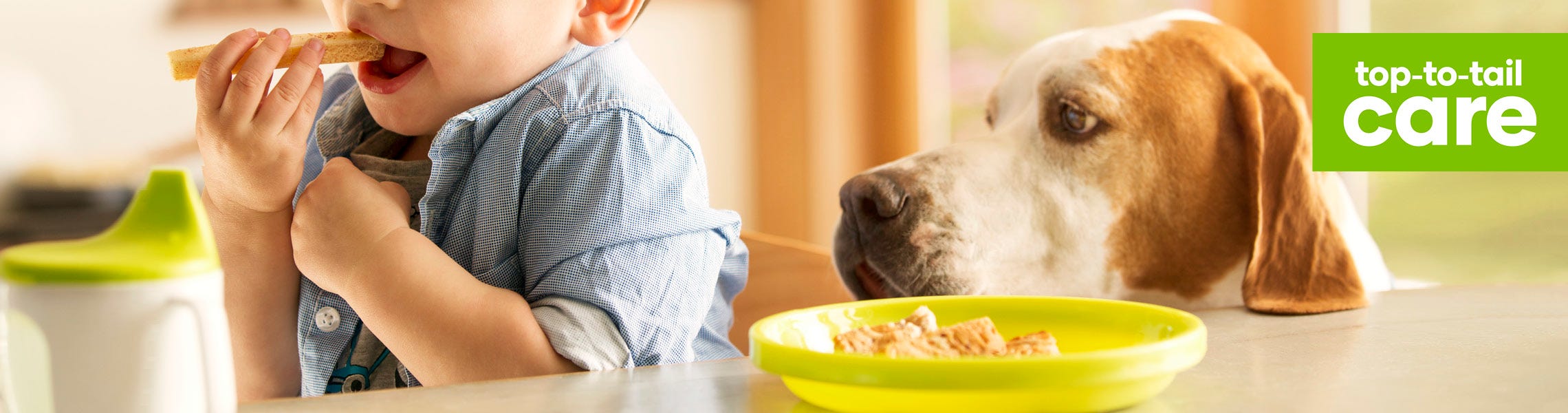 Why table scraps are bad for your dog