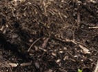 Compost, fertilisers and pesticides