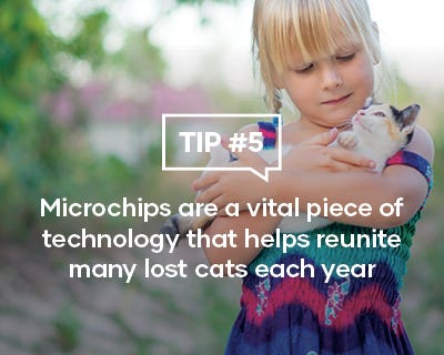 Microchips are a vital piece of technology that helps reunite many lot cats each year