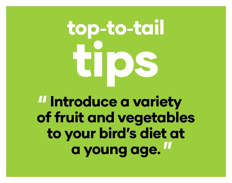 Introduce a variety of fruit and vegetables to your bird’s diet at a young age.