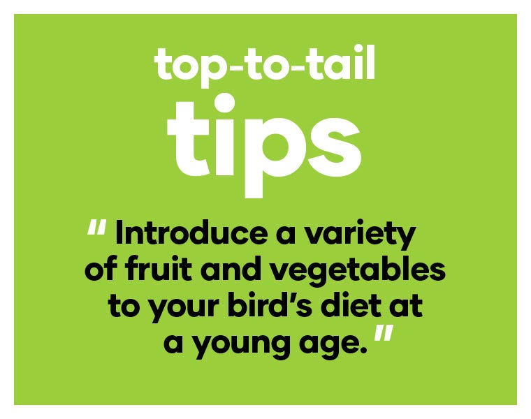 Introduce a variety of fruit and vegetables to your bird’s diet at a young age.