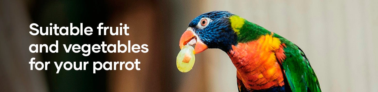 The best fruits and vegetables for your pet bird