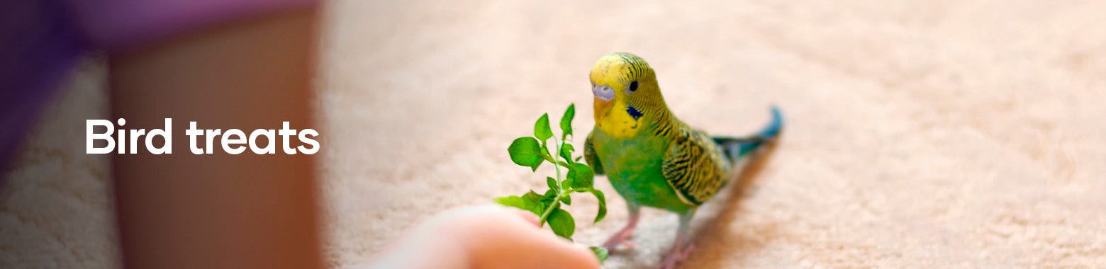 Bird treats