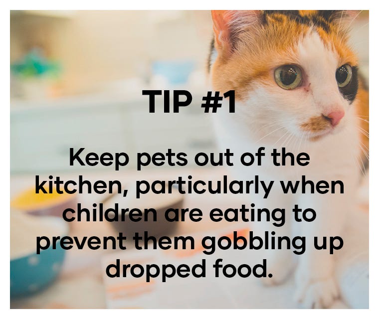 Keep pets out of the kitchen, particularly when children are eating to prevent them gobbling up dropped food.