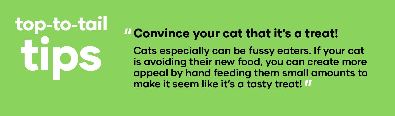 Top to tail tips | Convince your cat that it’s a treat! Cats especially can be fussy eaters. If your cat is avoiding their new food, you can create more appeal by hand feeding them small amounts to make it seem like it’s a tasty treat!