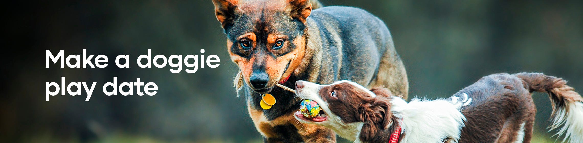 Boredom Buster Paw Puzzle Dogs Toy By NOAH'S ARK