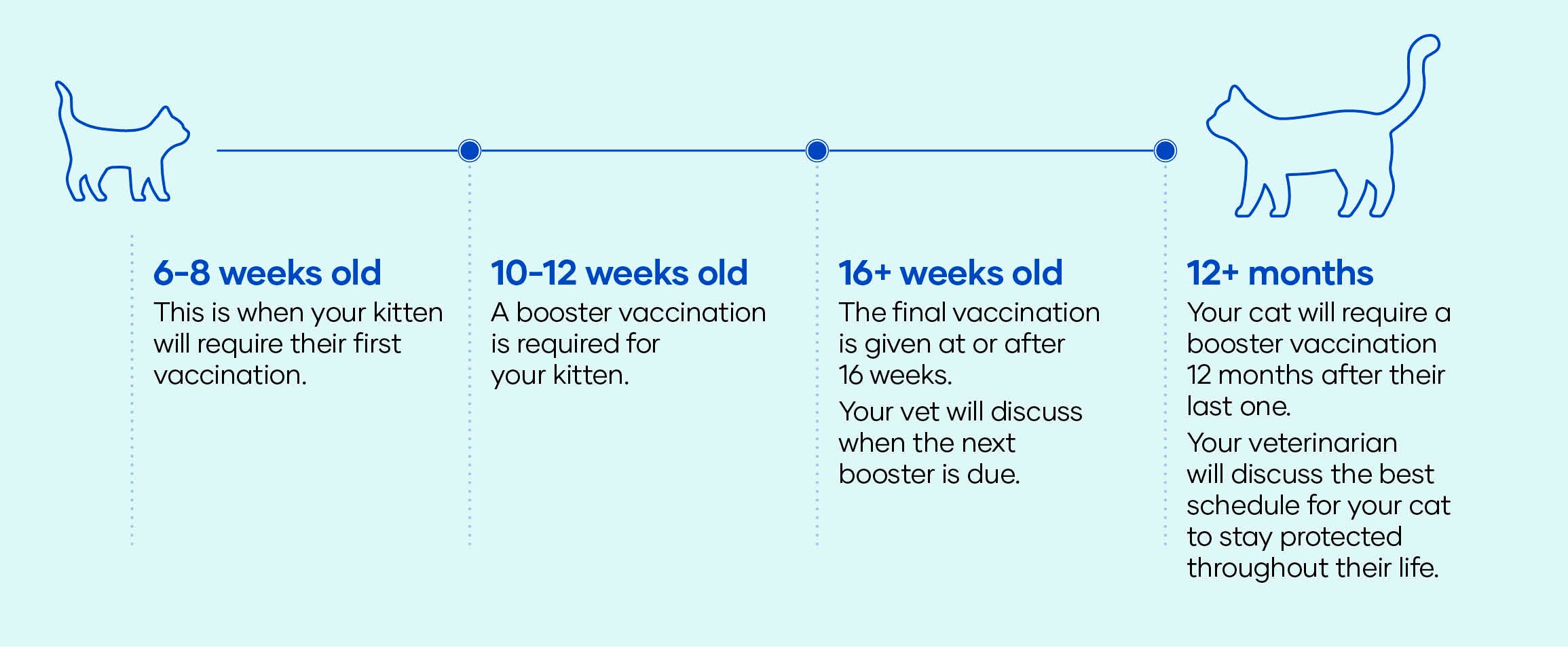 Cat Vaccination Timeline