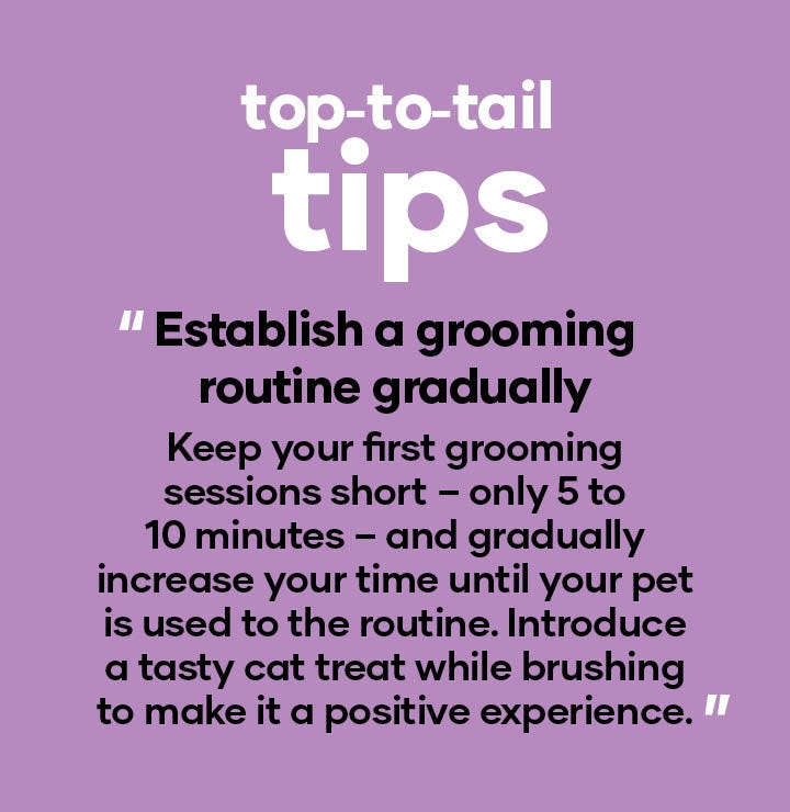 establish a grooming routine