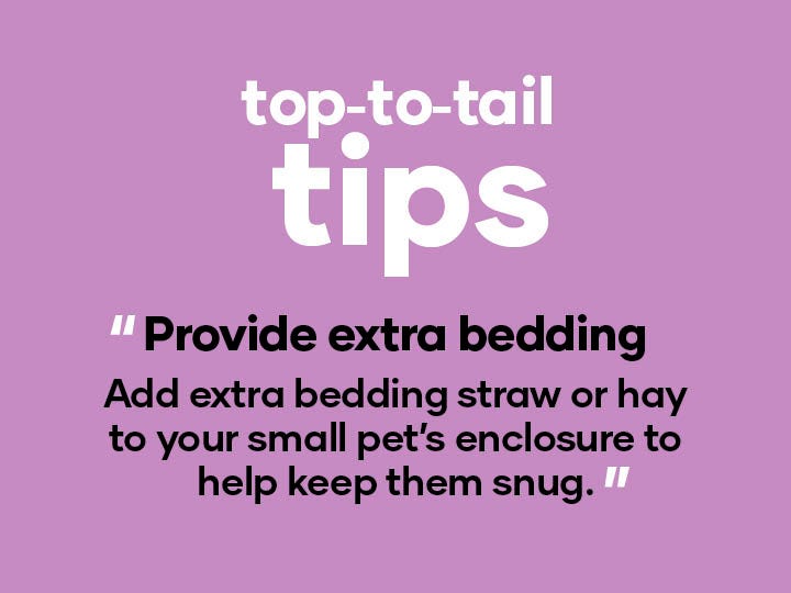 Provide extra bedding