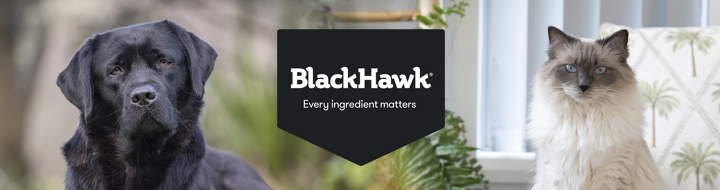 Black Hawk - Every ingredient matters