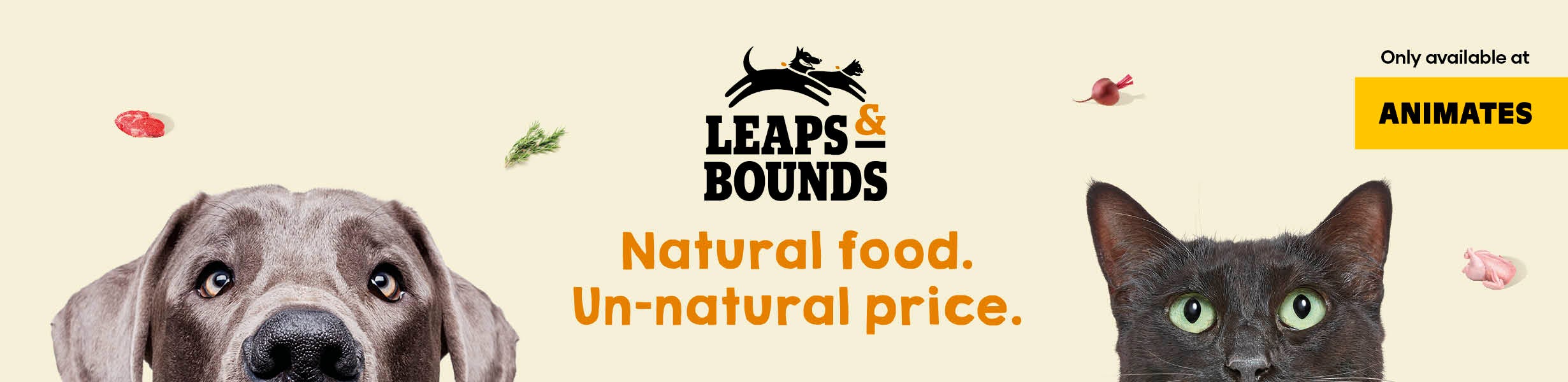 Leaps & Bounds