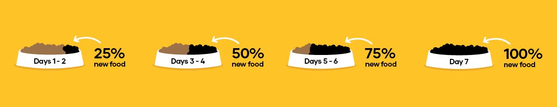Switching a sales dog's food