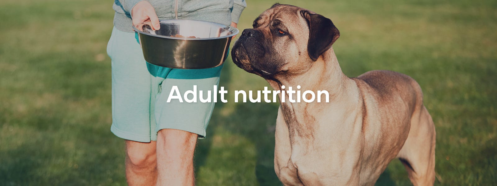 Adult Nutrition