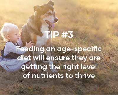 Feeding an age specific diet will ensure they are getting the right level of nutrients to thrive