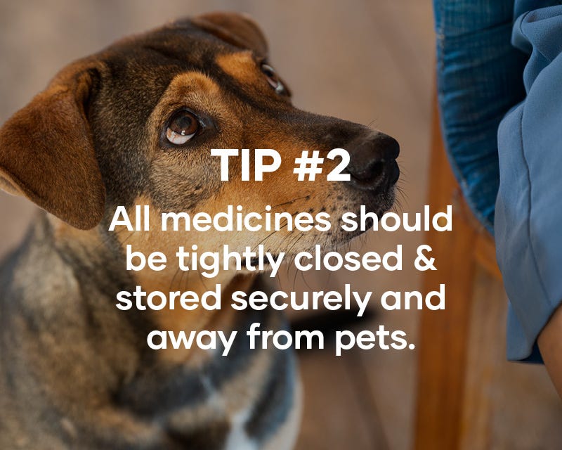 Tip #2: All medicines should be tightly closed & stored securely and away from pets.