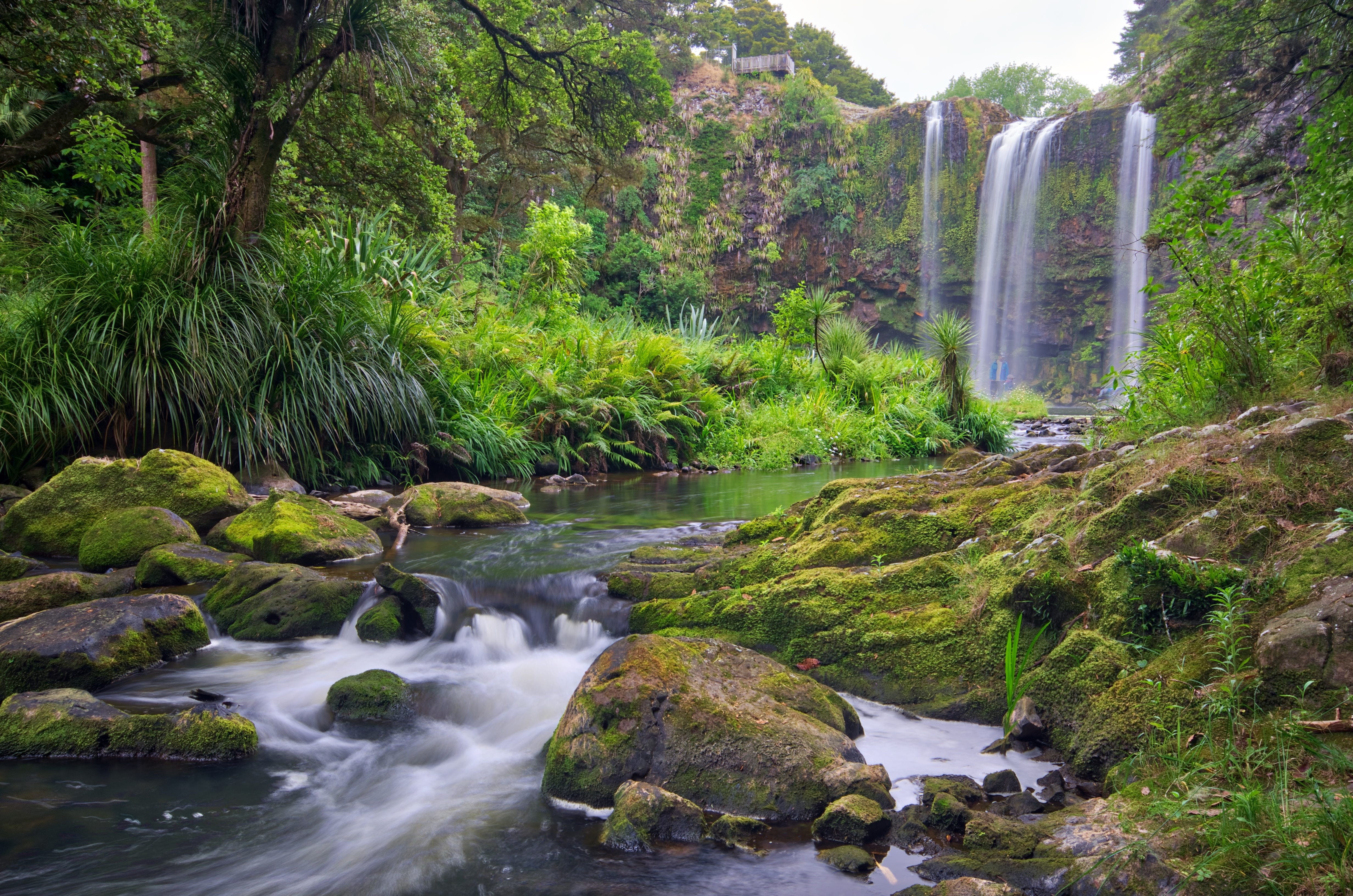 Planet Header Image : New Zealand waterfall forest