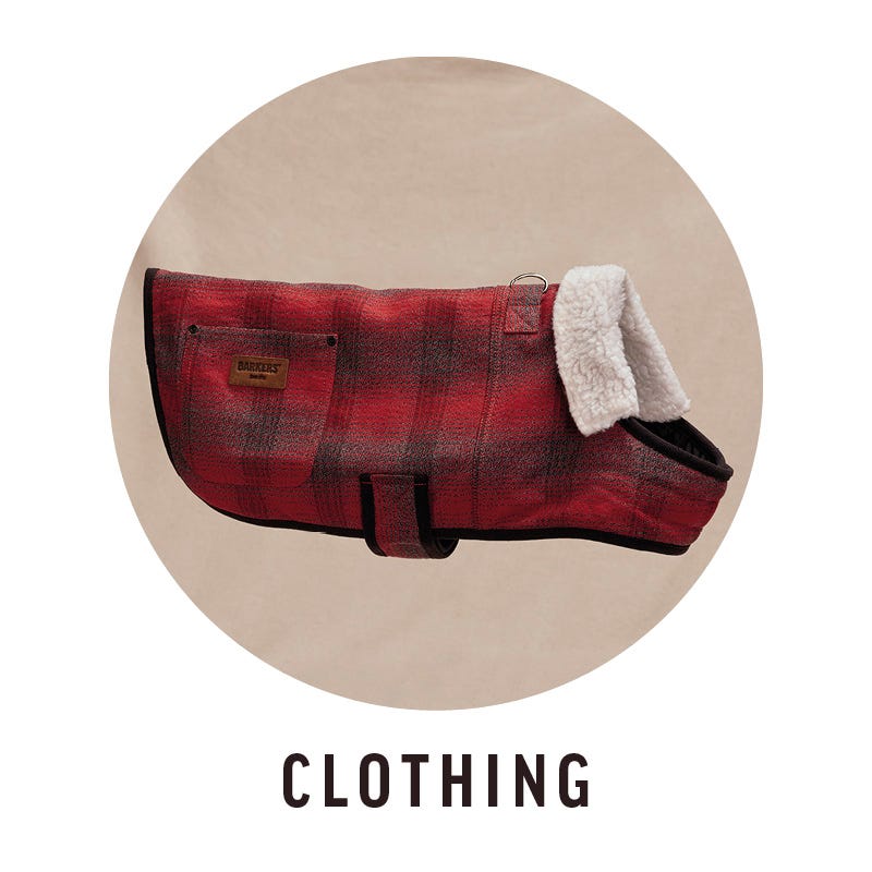 Clothing button