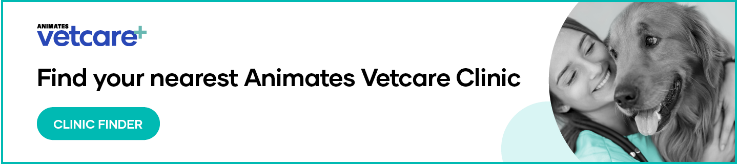 Animates Vetcare. Find your nearest Animates Vetcare Clinic. Clinic Finder