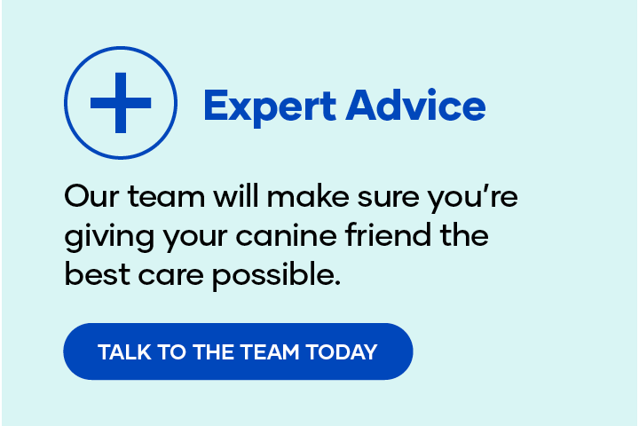 Expert Advice. Our team will make sure you're giving your canine friend the best care possible. Talk to the team today.