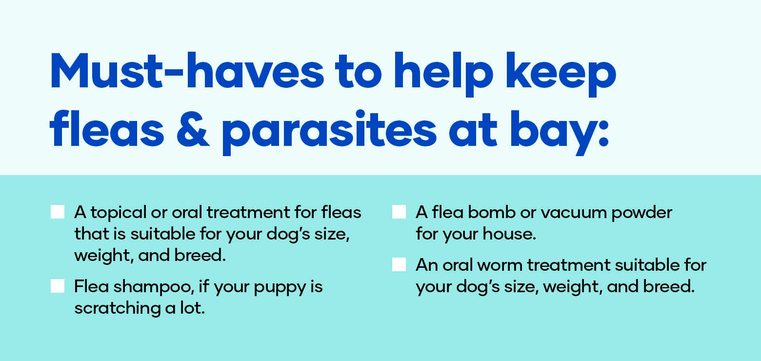 Must-haves to help keep fleas & parasites at bay: A topical or oral treatment for fleas that is suitable for your dog’s size, weight, and breed. Flea shampoo, if your puppy is scratching a lot. A flea bomb or vacuum powder for your house. An oral worm treatment suitable for your dog’s size, weight, and breed.