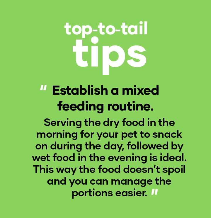 top-to-tail tip | Establish a mixed feeding routine