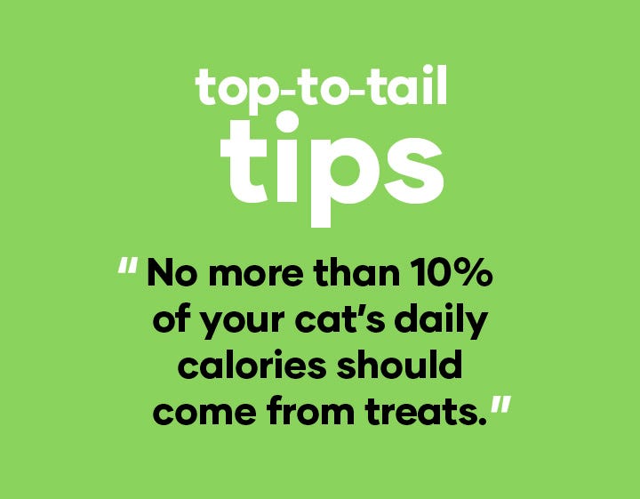 top-to-tail tips | No more than 10% of your cat’s their daily calories should come from treats.