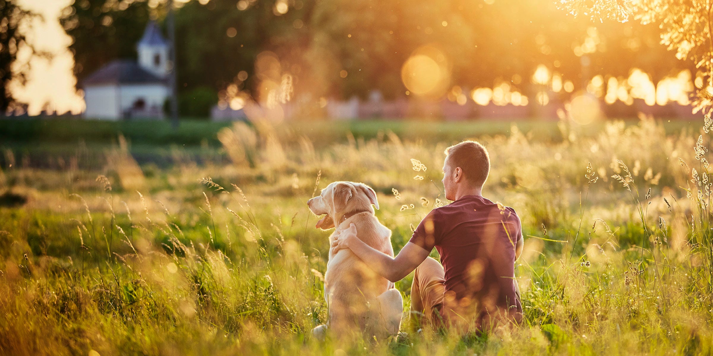 TerraCycle Header Image : dog and man sitting in a field enjoying sunset