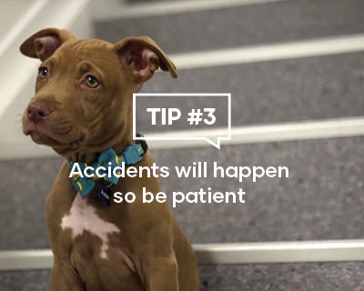Accidents will happen so be patient